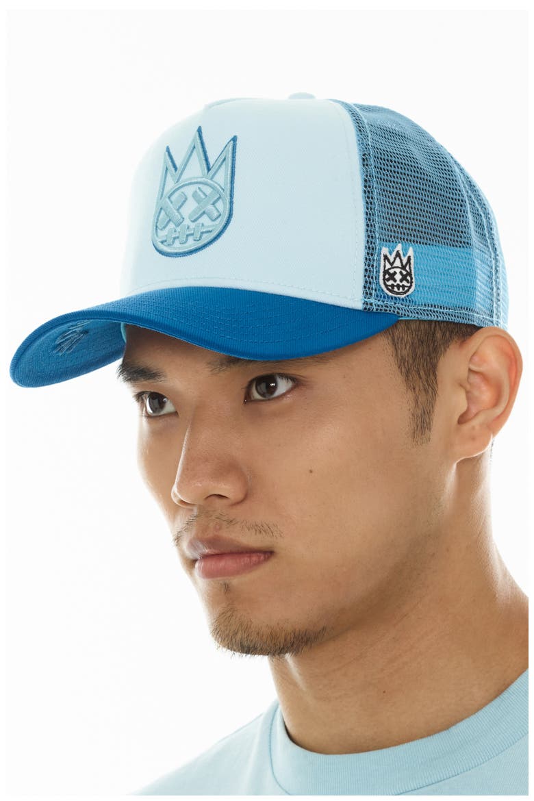 Shimuchan Logo Colorblock Trucker Hat, Alternate, color, BLUE GLOW