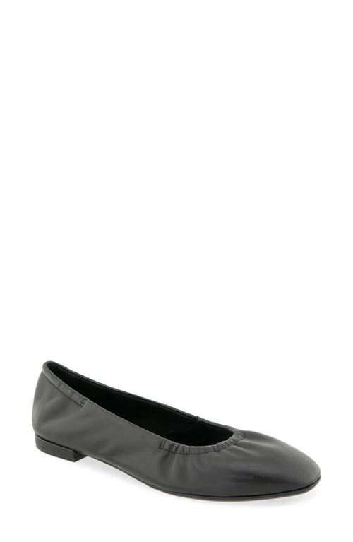 Aerosoles Antonia Flat In Animal Print
