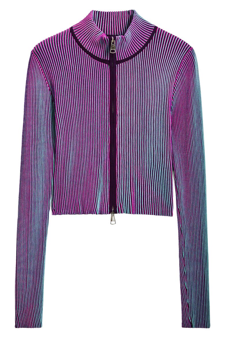 Front Zip Rib Jacket, Alternate, color, PURPLE