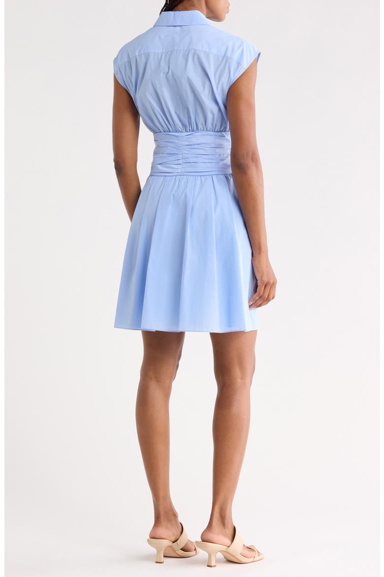 Sleeveless Taffeta Dress, Alternate, color, OXFORD