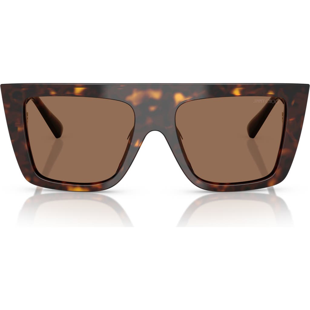 JIMMY CHOO JIMMY CHOO 52MM RECTANGULAR SUNGLASSES