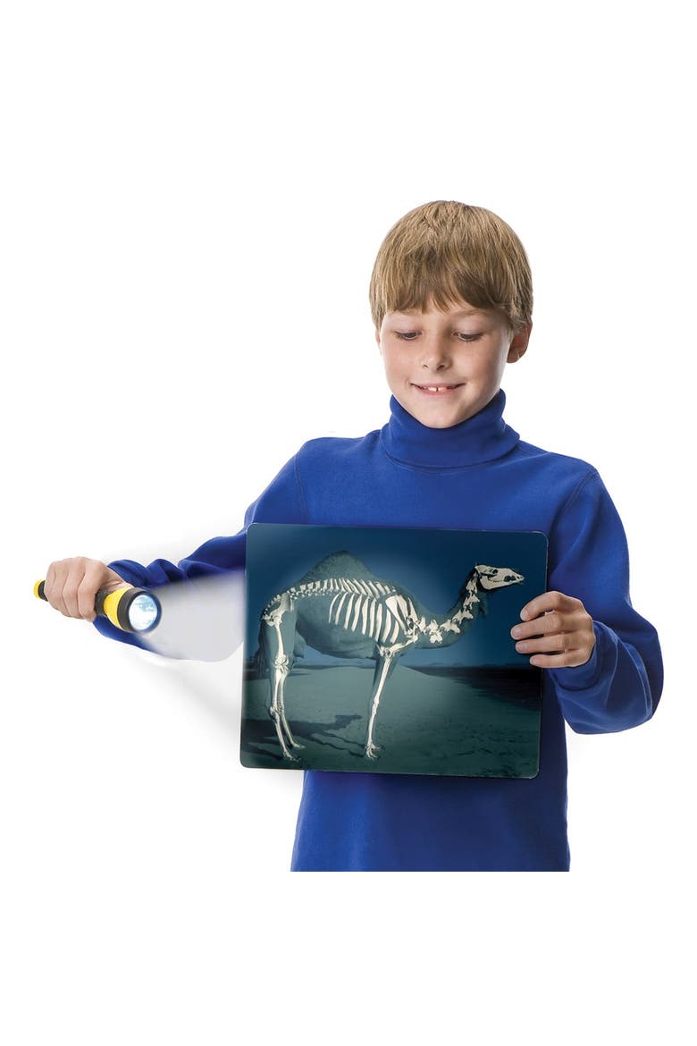 What's Inside Animals?, Alternate, color, Multicolor
