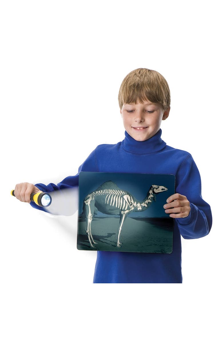 Roylco What
s Inside Animals?, Alternate, color, Multicolor