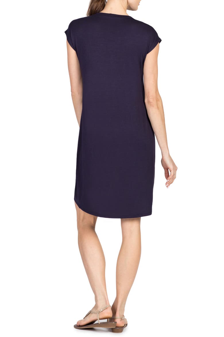 Lille Layered Maternity/Nursing Sheath Dress, Alternate, color, NAVY/ WHITE STRIPE