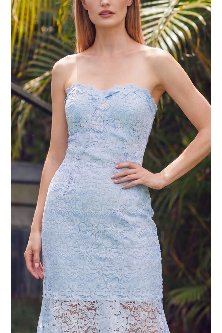 Makaia Two Tone Lace Dress, Alternate, color, Light Blue/White