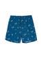  Multi-Navy