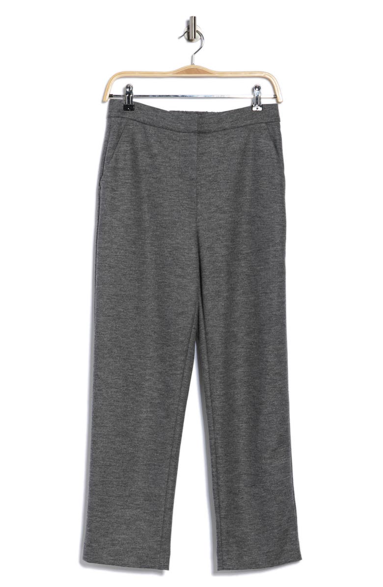 Simkhai Hayley Crop Straight Leg Pants, Alternate, color, Warm Gray