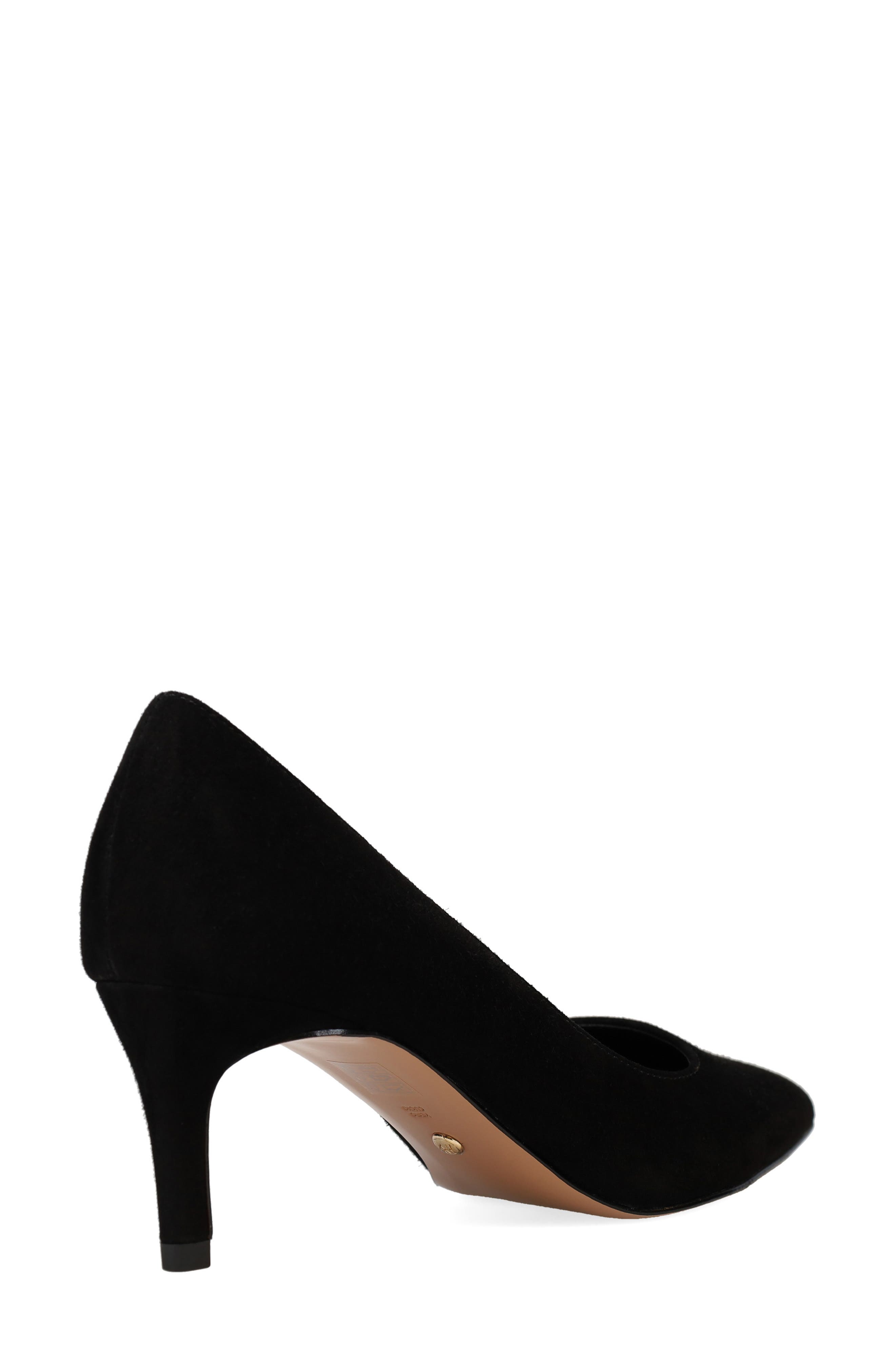 Pelle Moda Lailoni Pointed Toe Pump, Alternate, color, Black