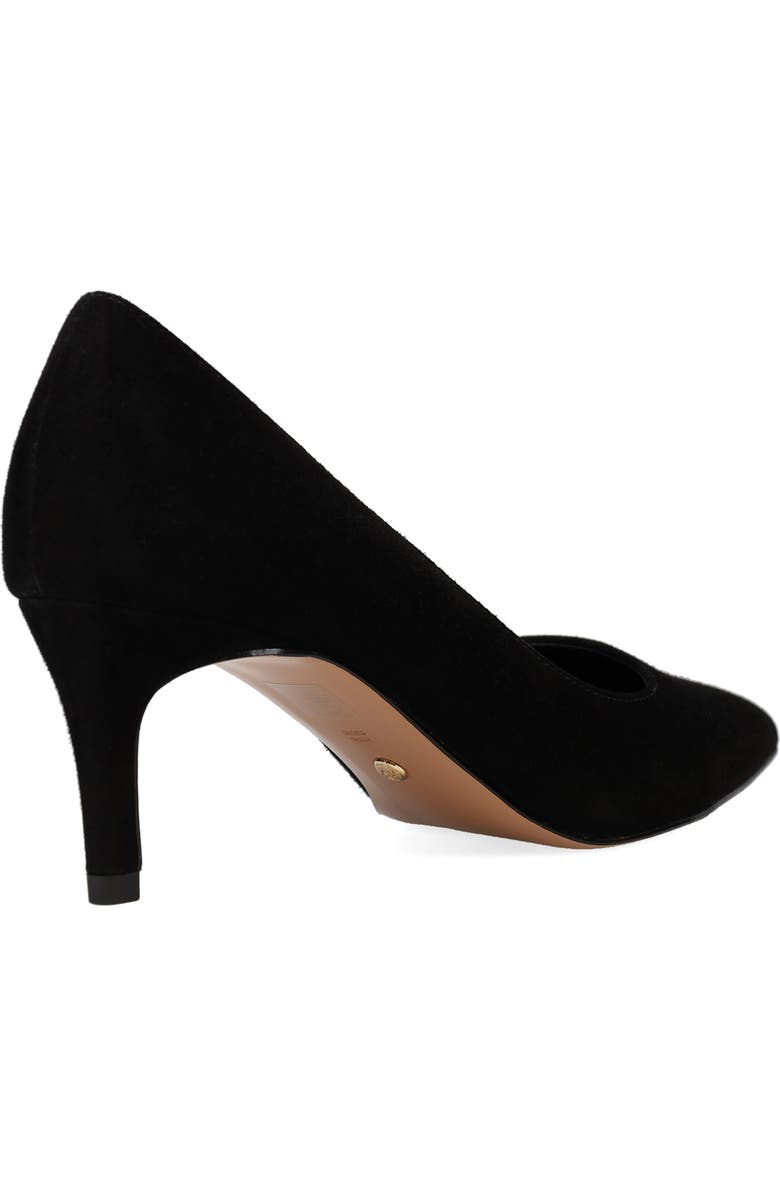 Pelle Moda Lailoni Pointed Toe Pump, Alternate, color, Black