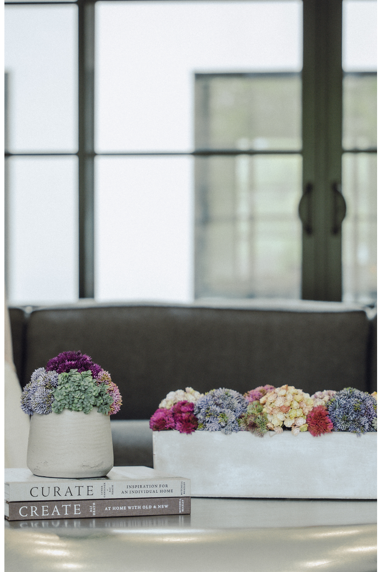 Arden Oblong Sedum Arrangement, Alternate, color, Multi-Color