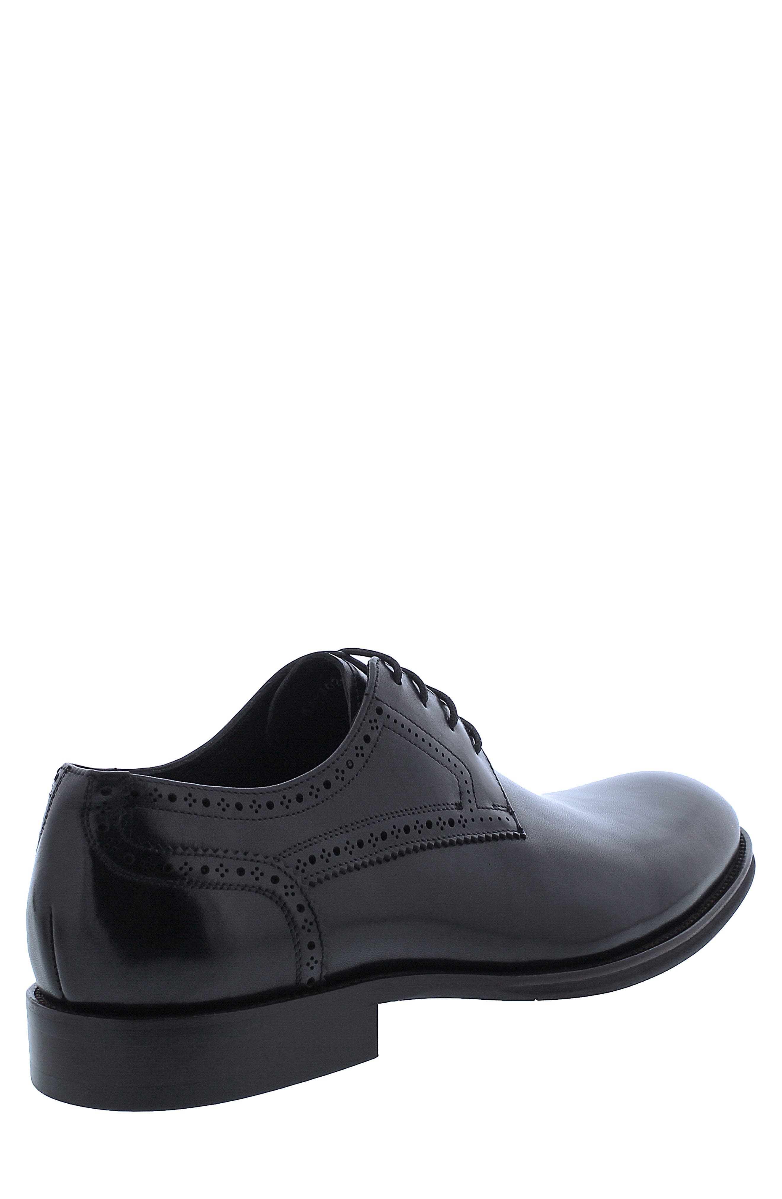 Penny Lane Regent Derby, Alternate, color, 