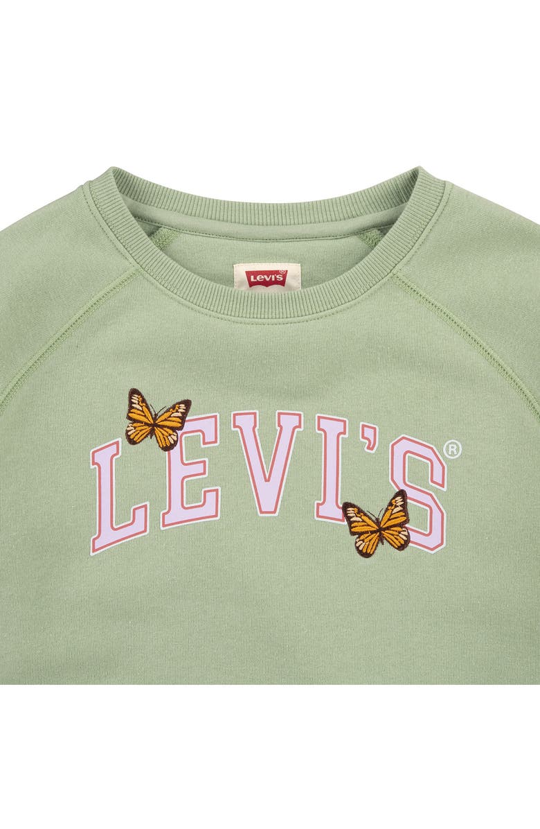 Levi's<sup>®</sup> Meet & Greet Raglan Sleeve Pullover, Alternate, color,