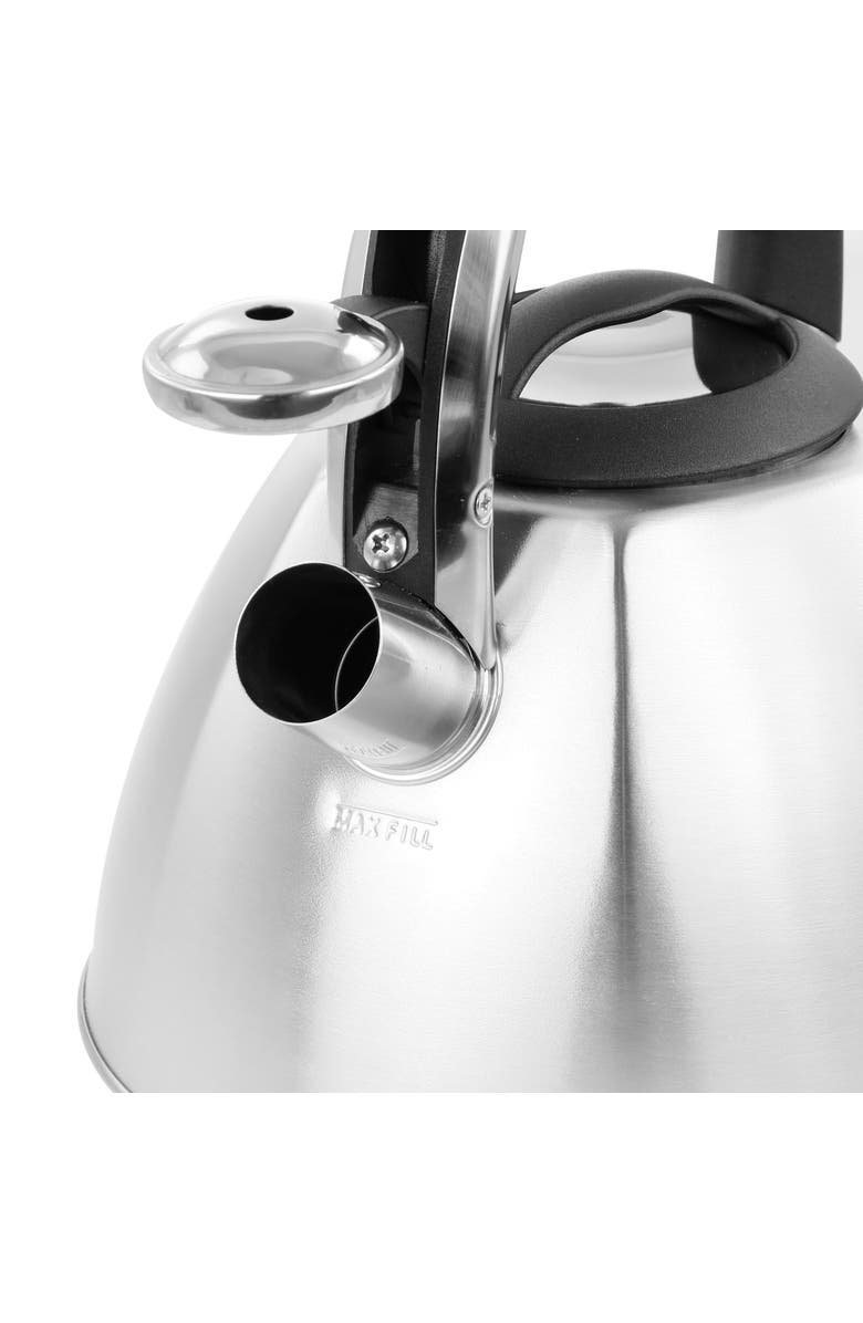 Mr. Coffee 3 Quart Stainless Steel Whistling Tea Kettle, Alternate, color, Metallic Silver