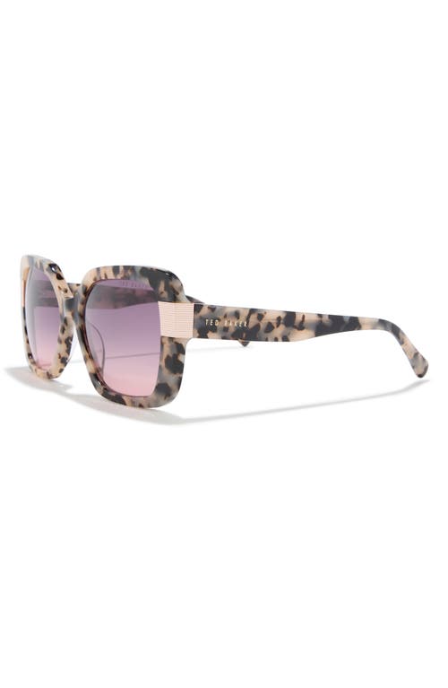 Ted Baker 56mm Gradient Square Sunglasses