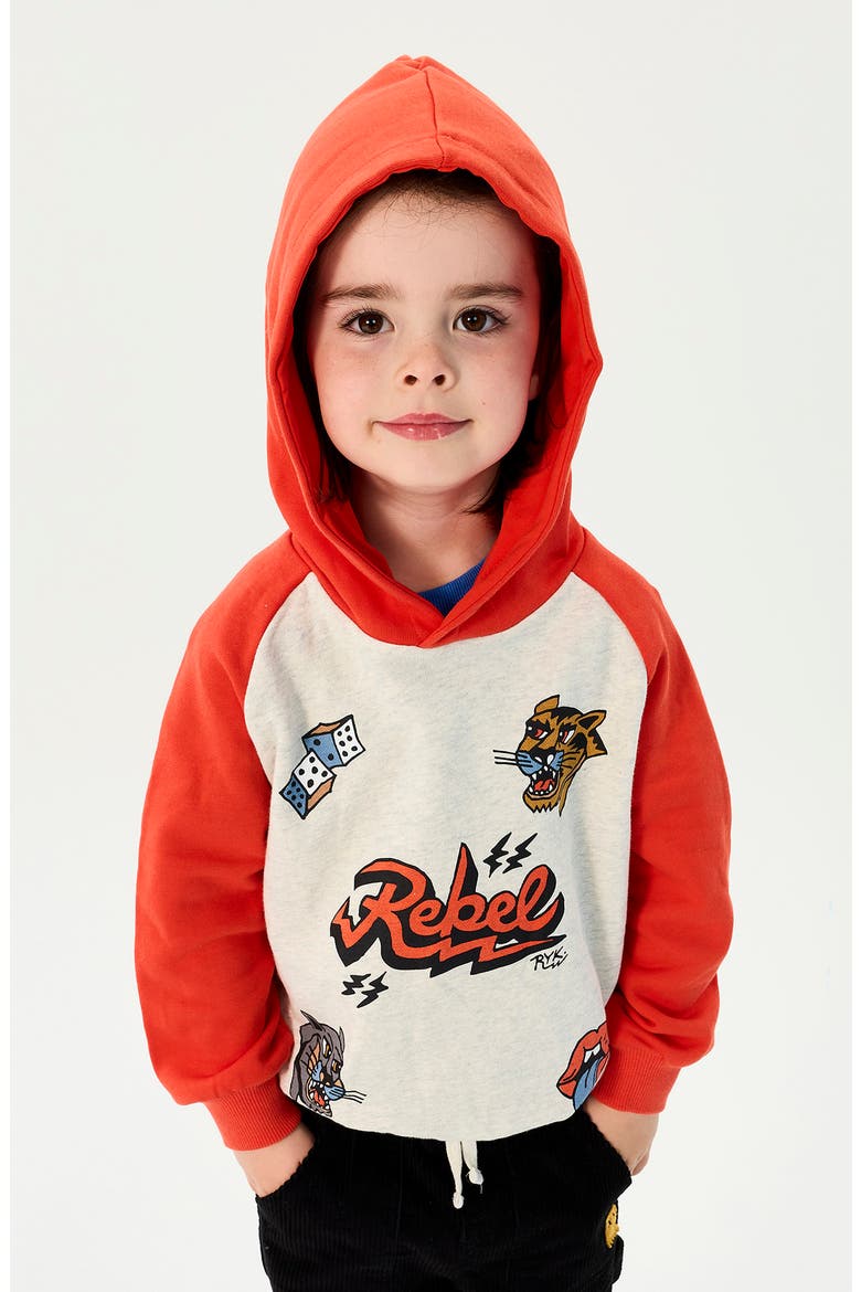 Kids' Graphic Raglan Hoodie, Alternate, color, GREY MARLE