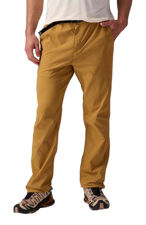 Backcountry Wasatch Ripstop Pant In Brown
