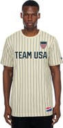 New Era Men's New Era Cream Team USA Mesh Back Pinstripe T-Shirt