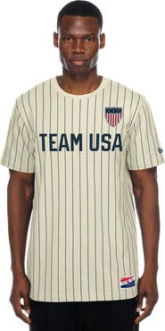 New Era Men's New Era Cream Team USA Mesh Back Pinstripe T-Shirt