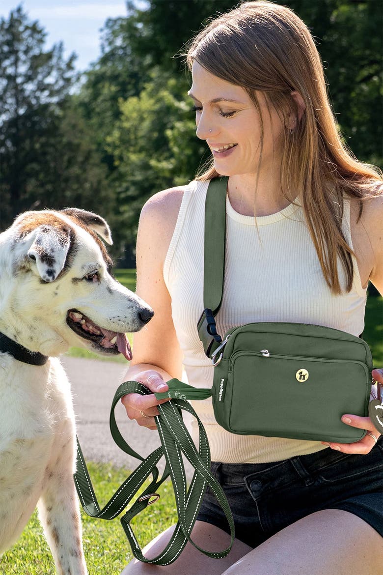 Reflective Leash, Alternate, color, Basil Green