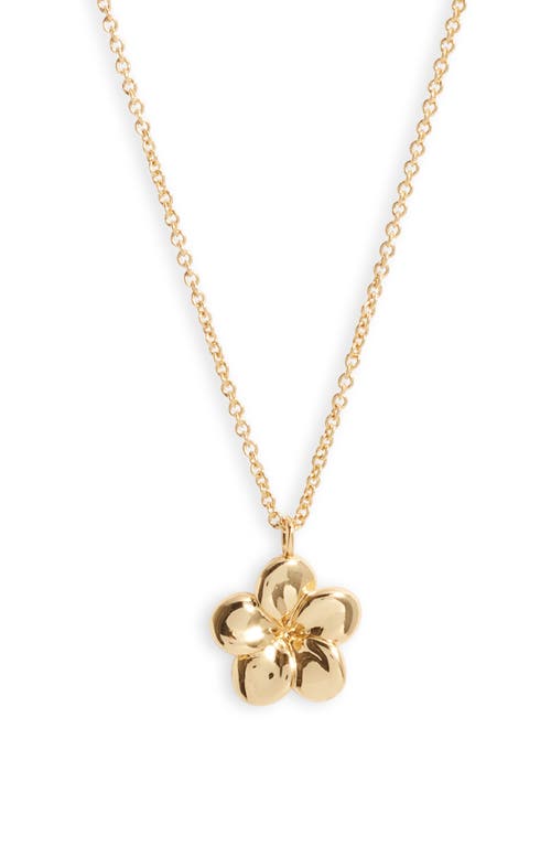 Kiara By Ki-ele Melia Plumeria Pendant Necklace In Gold