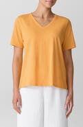 Eileen Fisher Easy V-Neck Organic Cotton T-Shirt