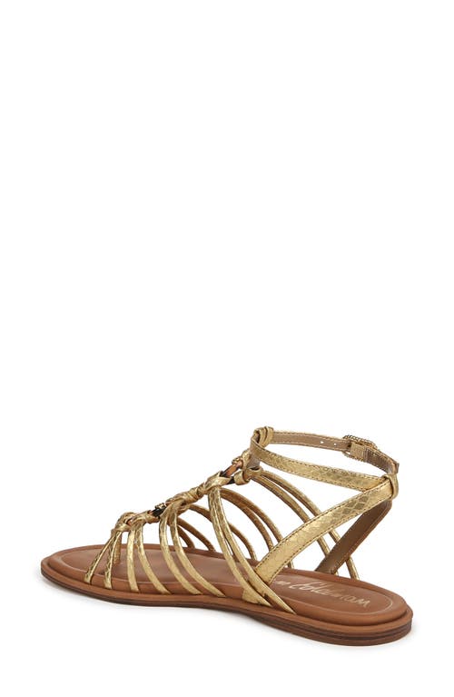 SAM EDELMAN SAM EDELMAN RAYE GLADIATOR SANDAL