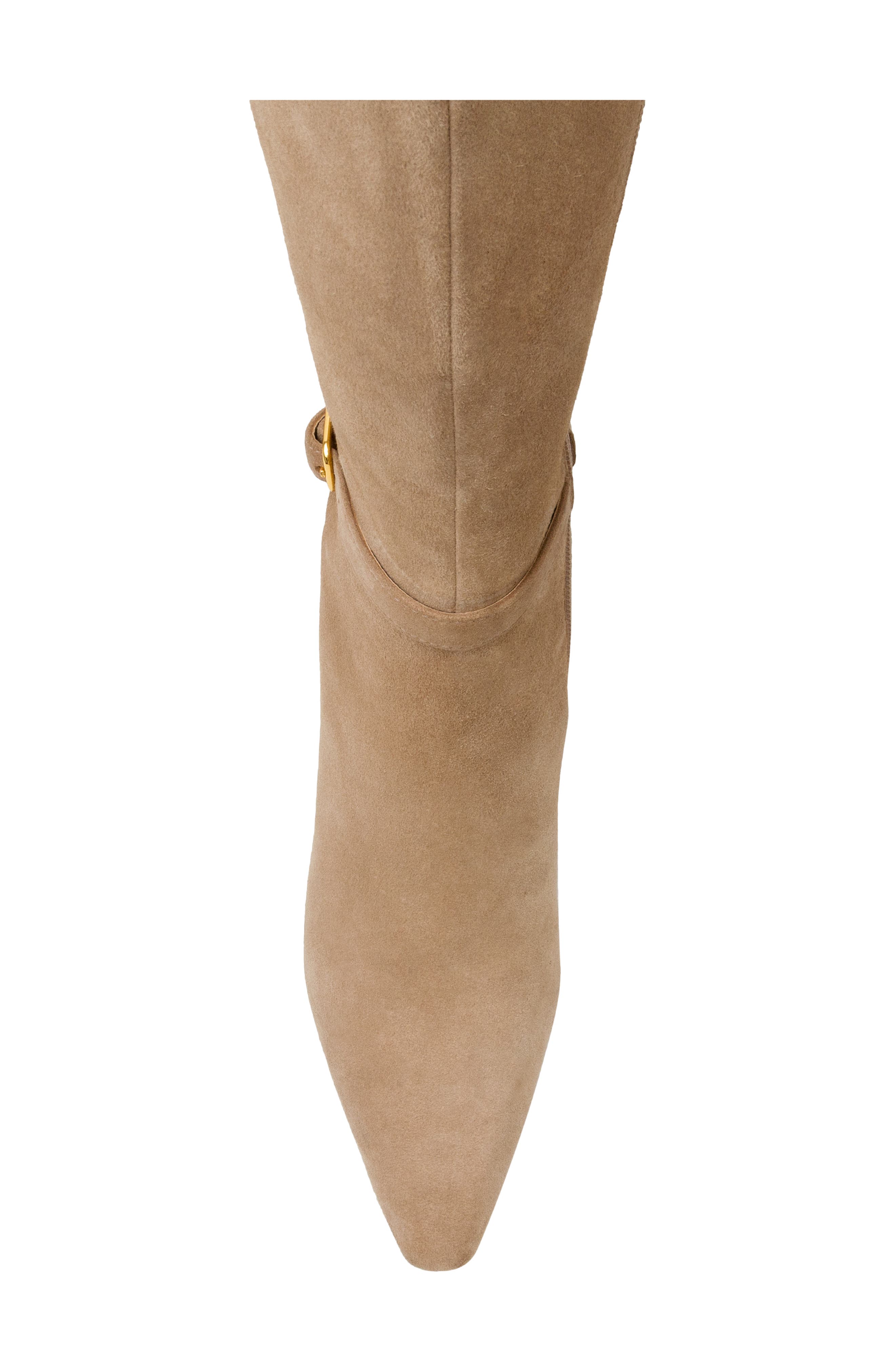 Linea Paolo Parson Tall Boot, Alternate, color, Fawn