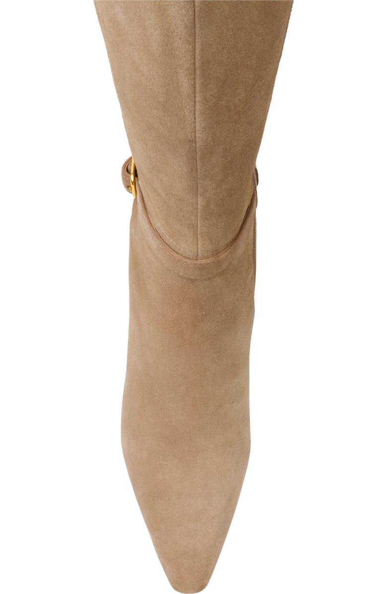 Linea Paolo Parson Tall Boot, Alternate, color, Fawn