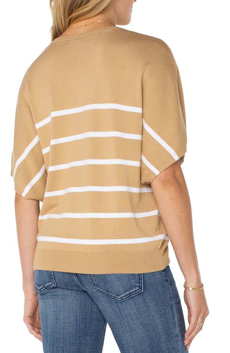 Liverpool Los Angeles Stripe V-Neck Dolman Sleeve Sweater, Alternate, color, 