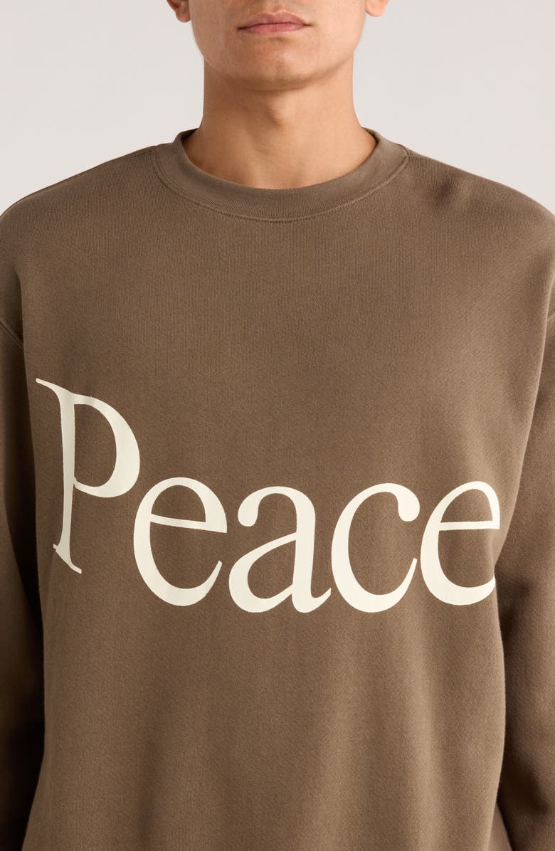 Museum of Peace & Quiet Jumbo Wordmark Cotton Fleece Crewneck Sweatshirt, Alternate, color, Brown