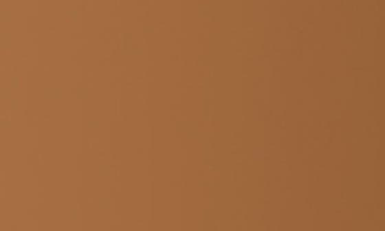 11 DEEP NEUTRAL OLIVE