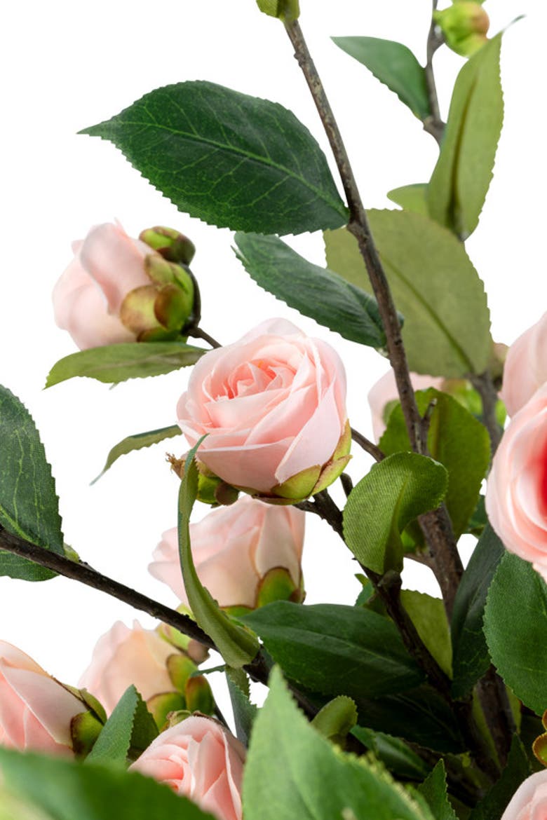 Zyla Rose Branch Arrangement, Alternate, color, Pink