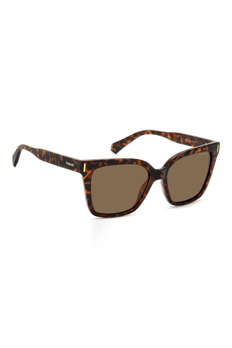 54mm Polarized Cat Eye Sunglasses, Alternate, color, HAVANA/ BRONZE POLAR