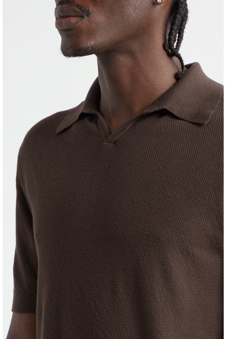 Garment Dye Cotton Polo, Alternate, color, BROWN
