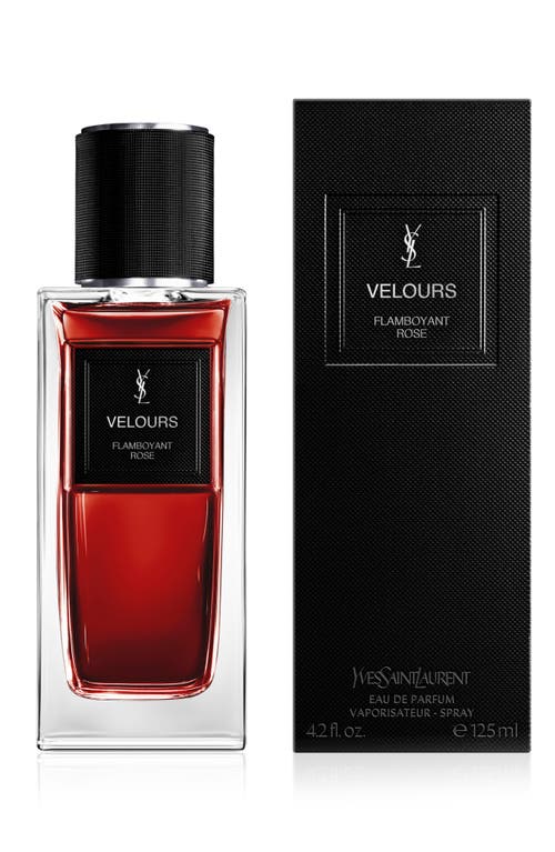 Saint Laurent Yves  Velours In Transparent