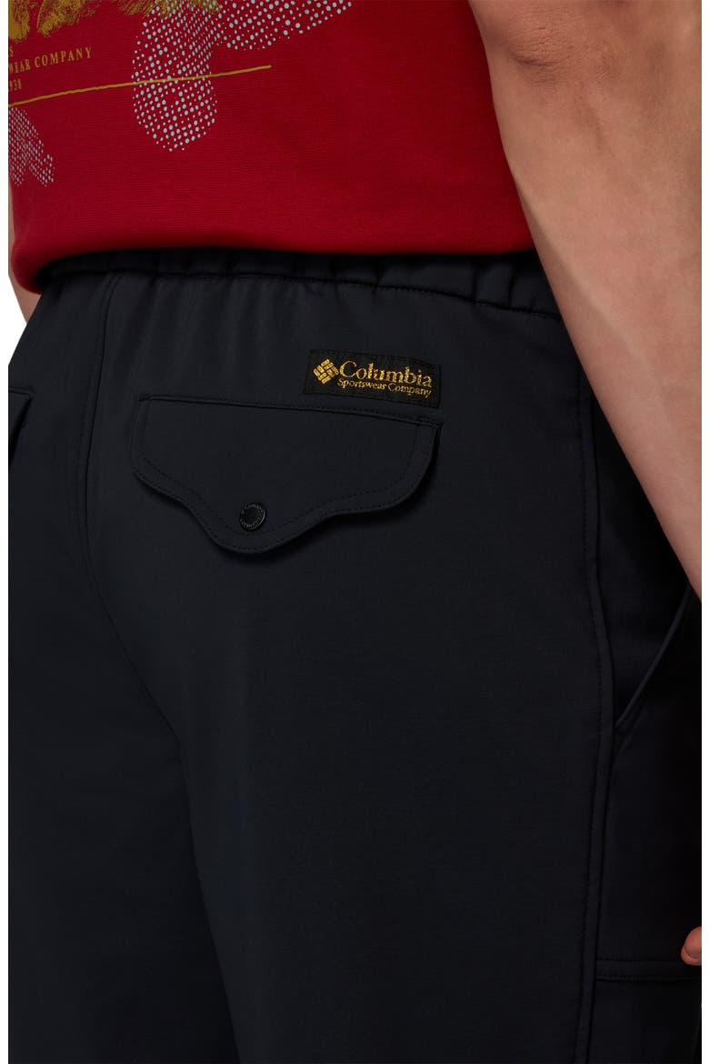 High Cascades Water Repellent Pants, Alternate, color, BLACK 010