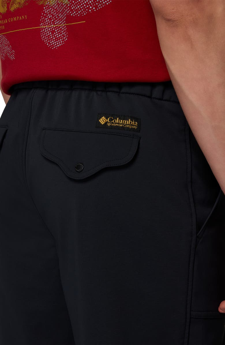 Columbia High Cascades Water Repellent Pants, Alternate, color, Black 010