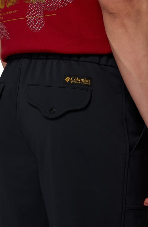 Columbia High Cascades Water Repellent Pants In Black