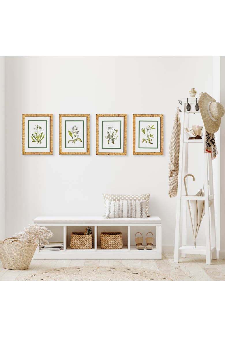 White Floral Flowers Decorative Study Framed Wall Art Prints Frame, Set of 4, Alternate, color, Green