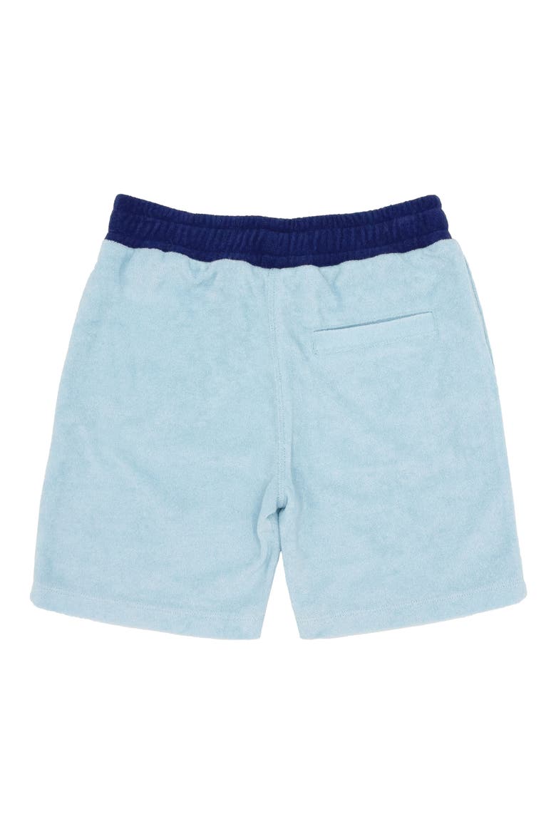 Kids' Coastal Terry Shorts, Alternate, color, CRYSTAL BLUE