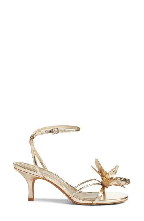 Open Edit Zuri Ankle Strap Sandal In Gold Light Metallic