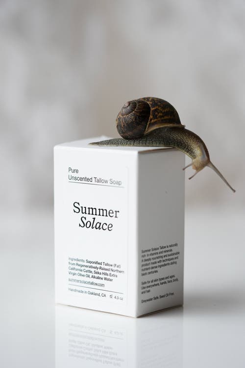 Summer Solace Tallow Pure Unscented Bar Soap Regenerative Tallow In Off-white