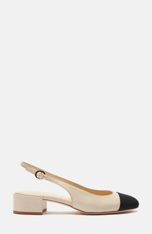 Shop Scarosso Coco High Heels