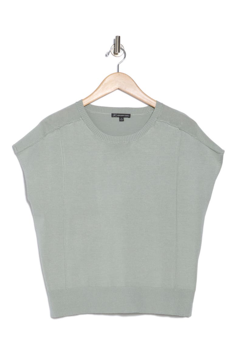 Exposed Seam Extended Sleeve Sweater, Alternate, color, DUSTY SEA MIST