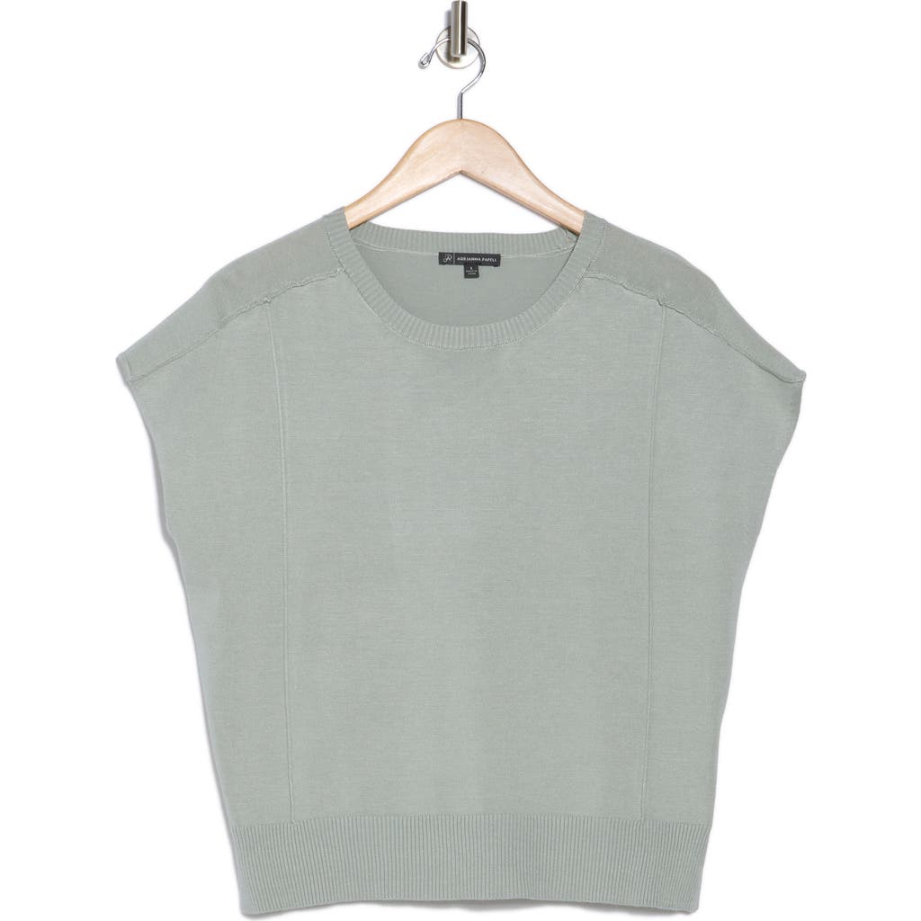 Adrianna Papell Exposed Seam Extended Sleeve Sweater In Dusty Sea Mist
