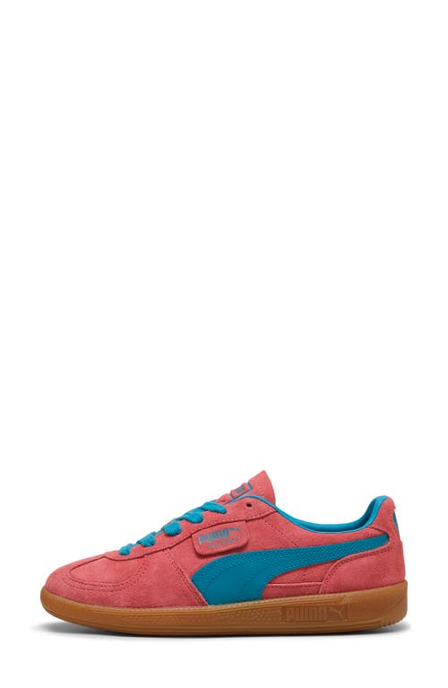 Puma Palermo Sneaker In Peach Frost-tropical Blue