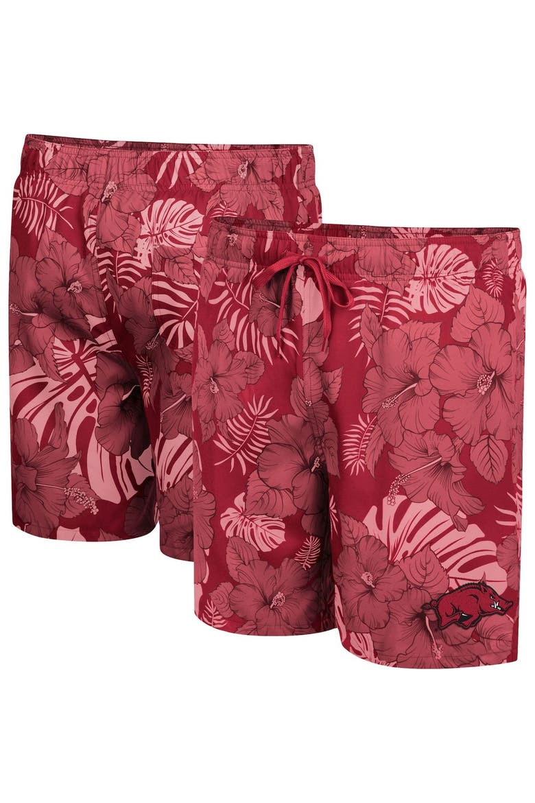 Men's Colosseum Cardinal Arkansas Razorbacks The Dude Swim Shorts, Main, color, Cardinal