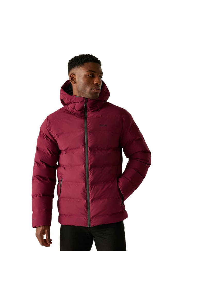 Altoro Thermal Waterproof Jacket, Main, color, Dark Maroon