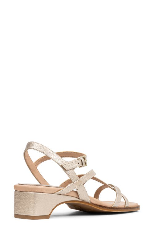 DONALD PLINER DONALD PLINER CESILIA SANDAL
