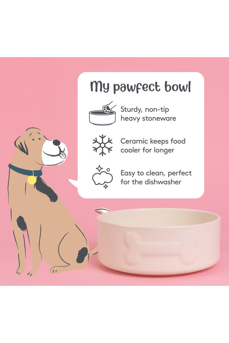 Embossed 8 Inch Bone Dog Food and Water Bowl, Alternate, color, Multicolored